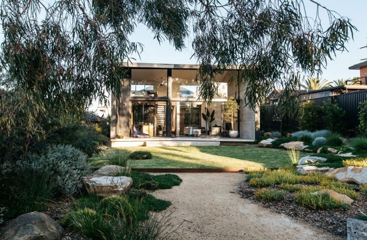amenagement jardin australien plantes resistantes eucalyptus