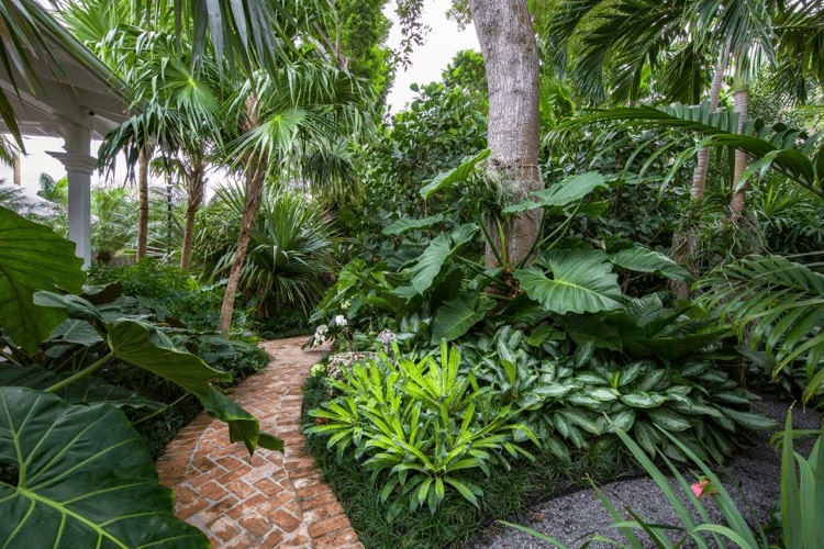 amenagement jardin style australien especes vegetales tropicales