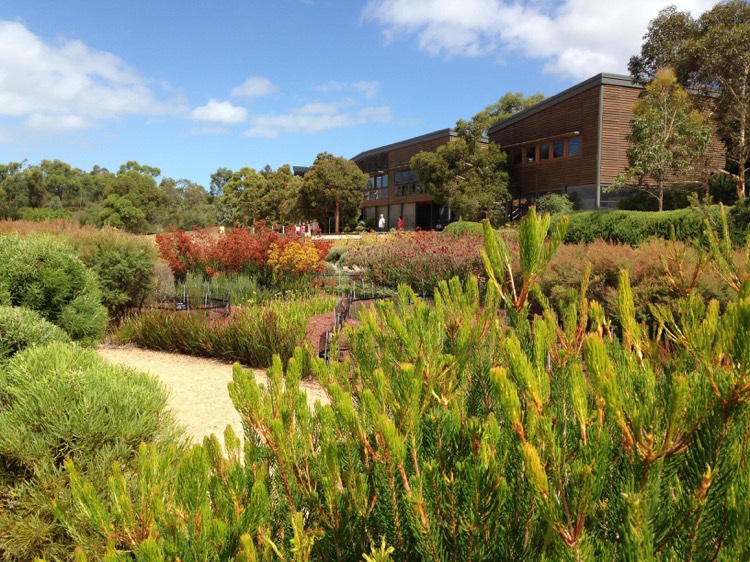 amenagement paysager tendance jardin australien