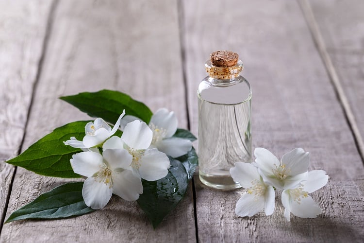 huile essentielle de jasmin vertus bienfaits beauté conseils utilisations
