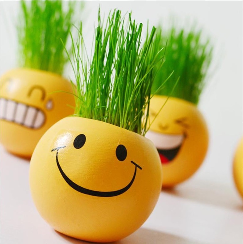 monsieur patate aux cheveux en herbe façon smiley emoji