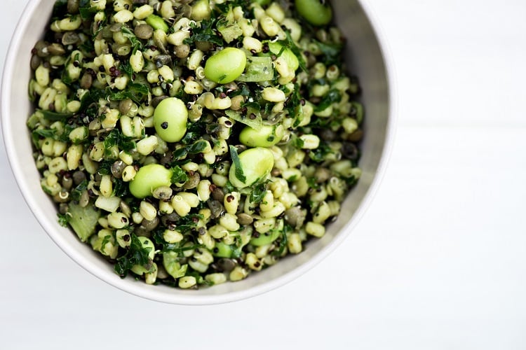 salade composée équilibrée aux lentilles baies de blé haricots verts persil