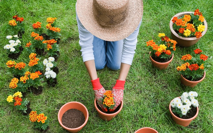 Cadeau pour jardinier : les meilleures idées !