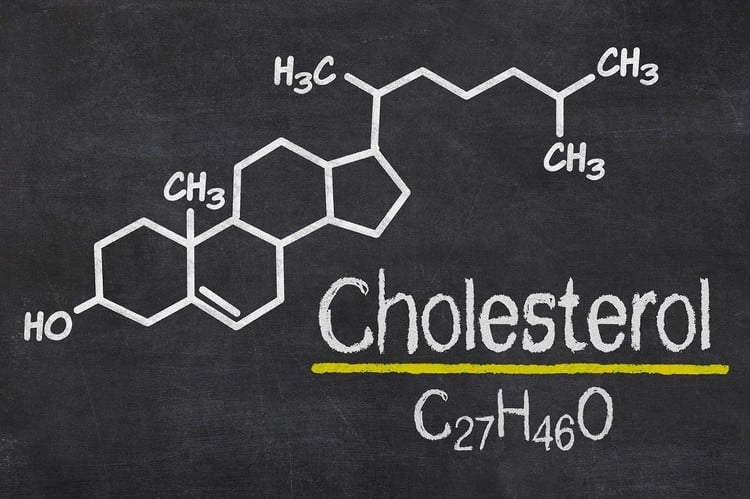 réduire le mauvais cholestérol prendre de la gelée royale vertus santé