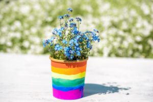 arc en ciel pot maison fleures