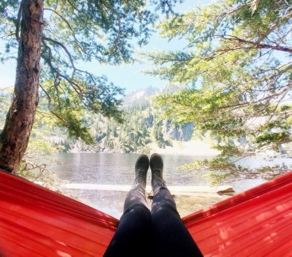 bains de forêt traitement par la nature bien-être mental