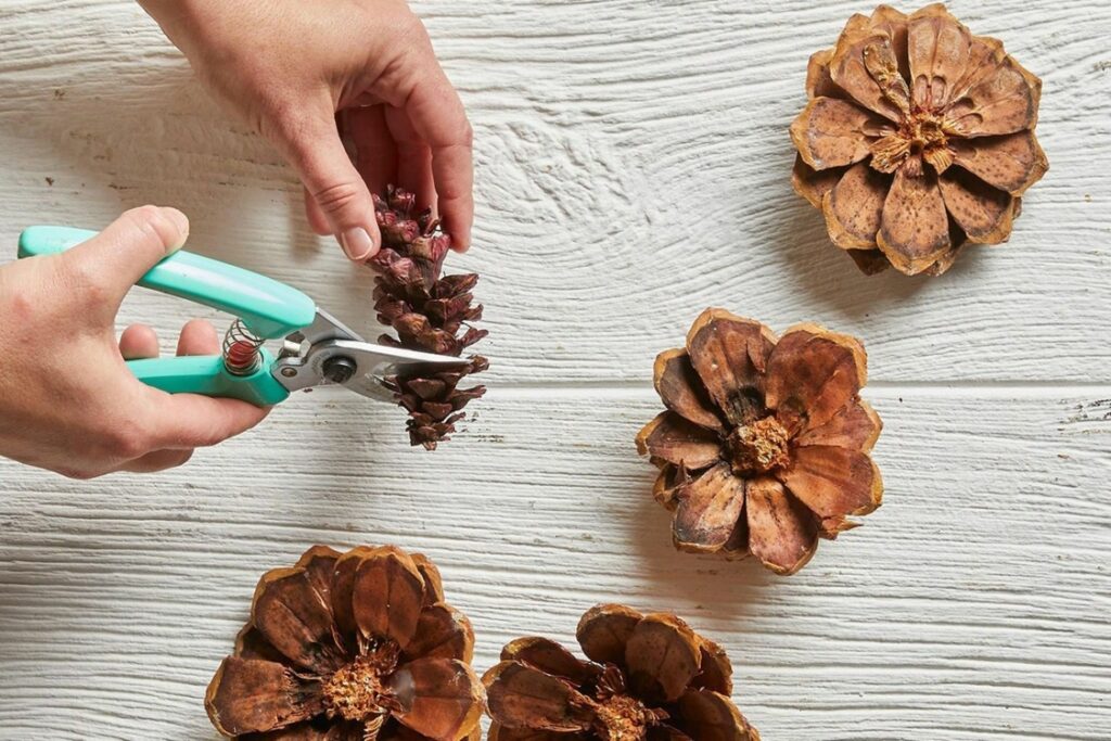 brico avec pomme de pin facile adulte et enfant déco diy estivale tableau fleurs pommes de pin