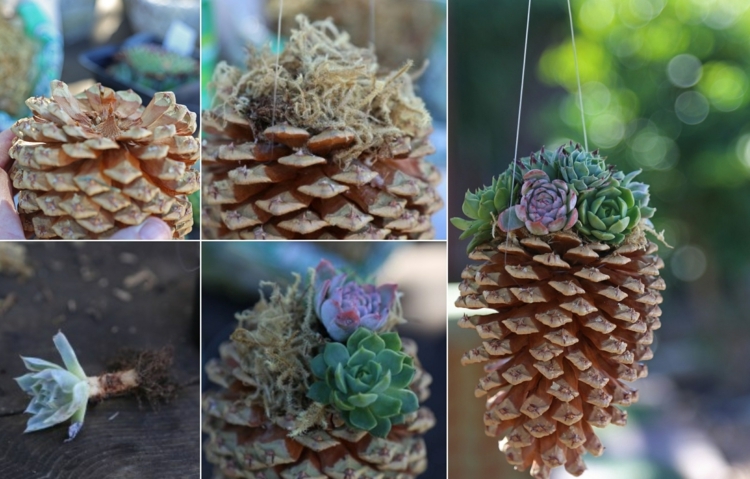 Décoration avec des pommes de pin DIY pour l'été