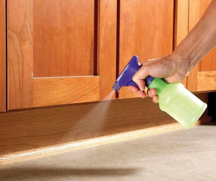 comment éloigner les fourmis combinaison de nettoyant pour vitres et détergent liquide