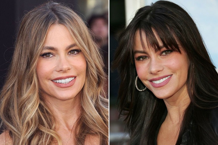 Sofia Vergara Long decadent haircut for 40 years with tapered bangs
