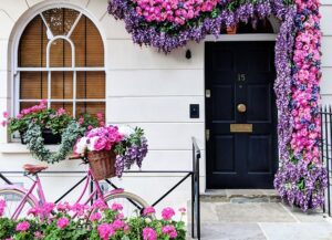 front door flower plante fleurs maison porte idées déco