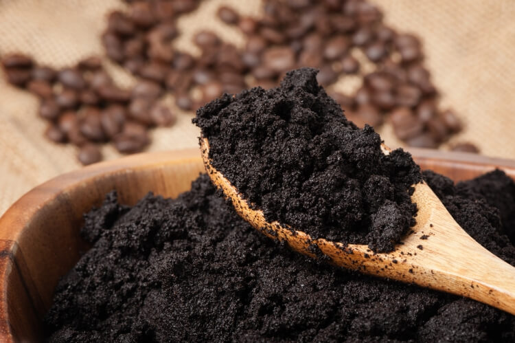 marc de café repulsif fourmis naturel écologique