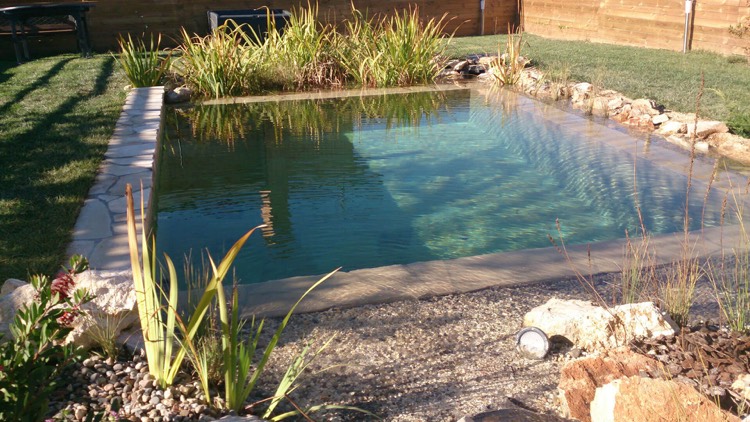 petit bassin ecologique zone filtration eau plantes aquatiques deco cailloux