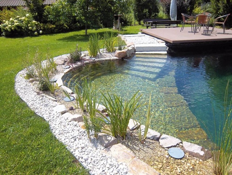 petite piscine naturelle deco plantes aquatiques galets blancs zone baignade
