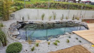 petite piscine naturelle forme libre deco pierre naturelle gravier plantes