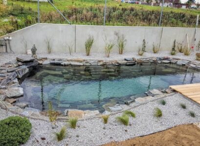 petite piscine naturelle forme libre deco pierre naturelle gravier plantes