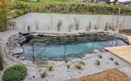 petite piscine naturelle forme libre deco pierre naturelle gravier plantes