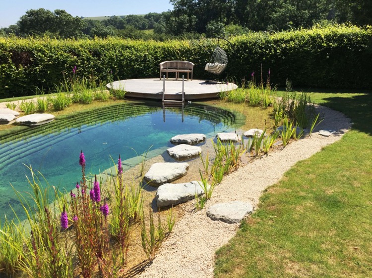 piscine natuelle jardin plantes aquatiques filtration