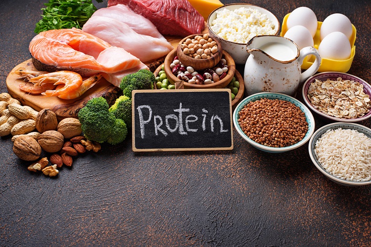 proteines alimentaires santé bien être