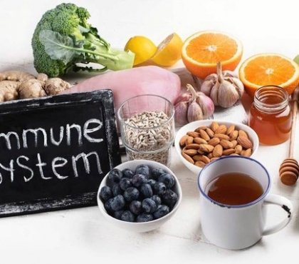 quels sont les aliments qui renforcent le systeme immunitaire