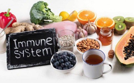 quels sont les aliments qui renforcent le systeme immunitaire