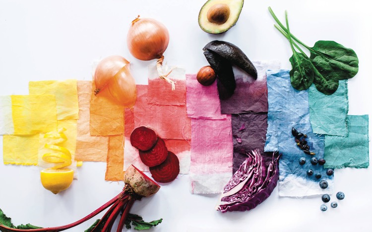 colorants alimentaires naturels sains creations culinaires
