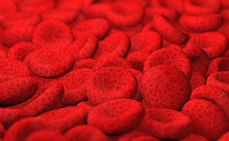 globules rouges carence en fer hémoglobine maladies chroniques anémie
