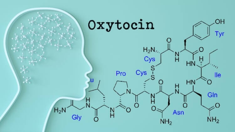 hormone oxytocine traitement maladie alzheimer