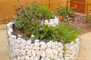jardiniere gabion spirale herbes aromatiques