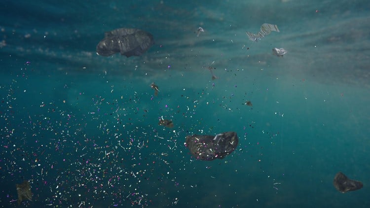 microplastiques dans les océans pollution effets santé bactéries
