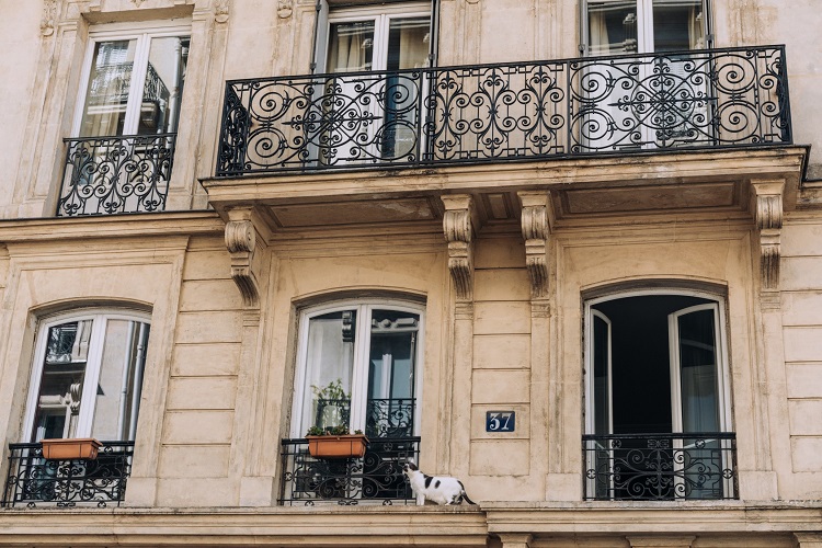rénovation appartements parisiens conseils aménagement revêtement mur sol déco