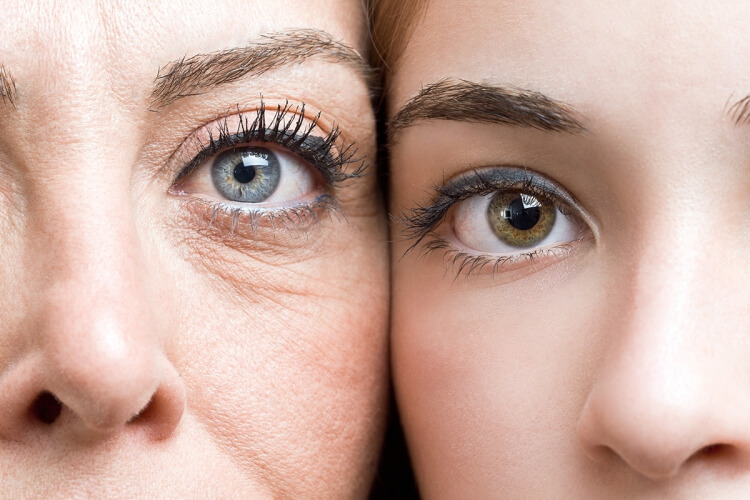 vieillissement oeil facteurs de risque dévelippement maladies oculaires