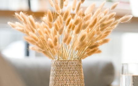 Queue de lièvre naturelle en vase de style boho-chic