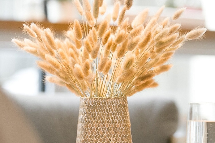 Queue de lièvre naturelle en vase de style boho-chic