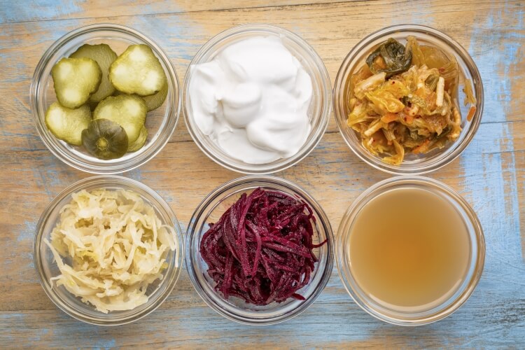 aliments fermentés sources naturelles probiotiques intestinaux santé gastro-intestinale