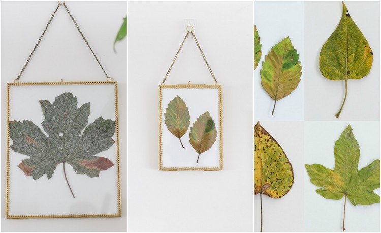 bricolage feuilles d automne cadre photo diy deco murale idée facile
