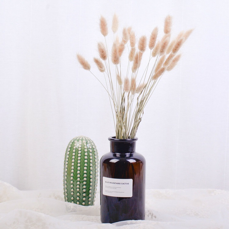cactus ceramique fleurs séchées queue de lièvre