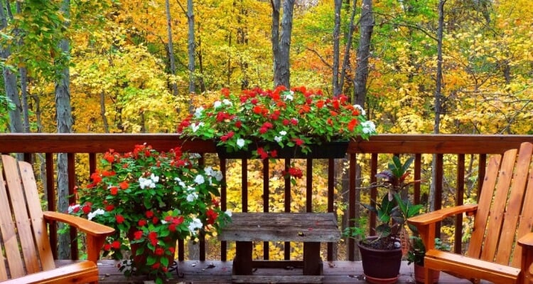 fleurs d’automne balcon belles couleurs automnales