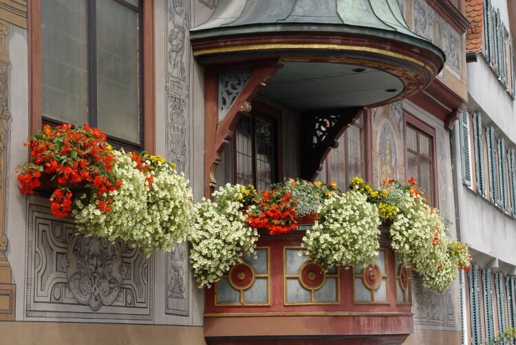 fleurs d’automne balcon harmoniser beauté balcon fleurs