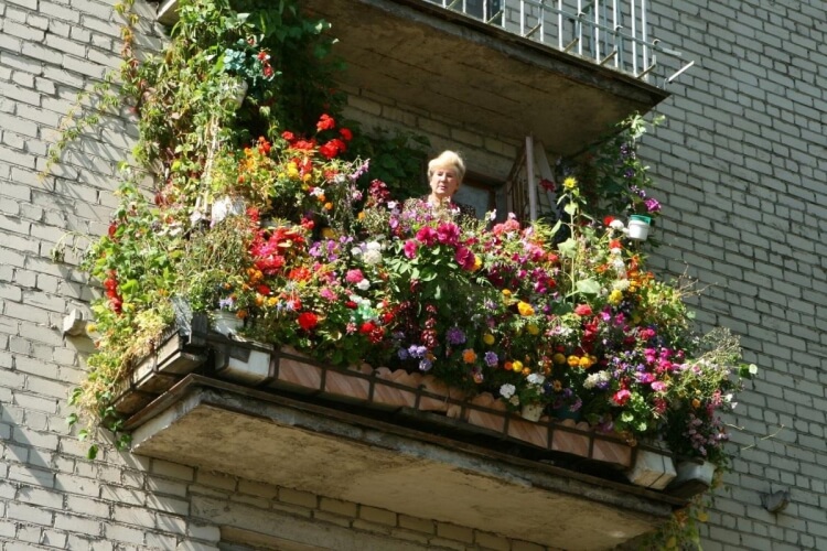 fleurs d’automne pour balcon calculer poids balcon jardinières