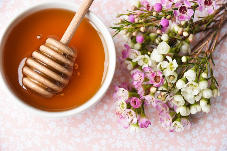 miel de manuka autralie fleur d' arbre à thé