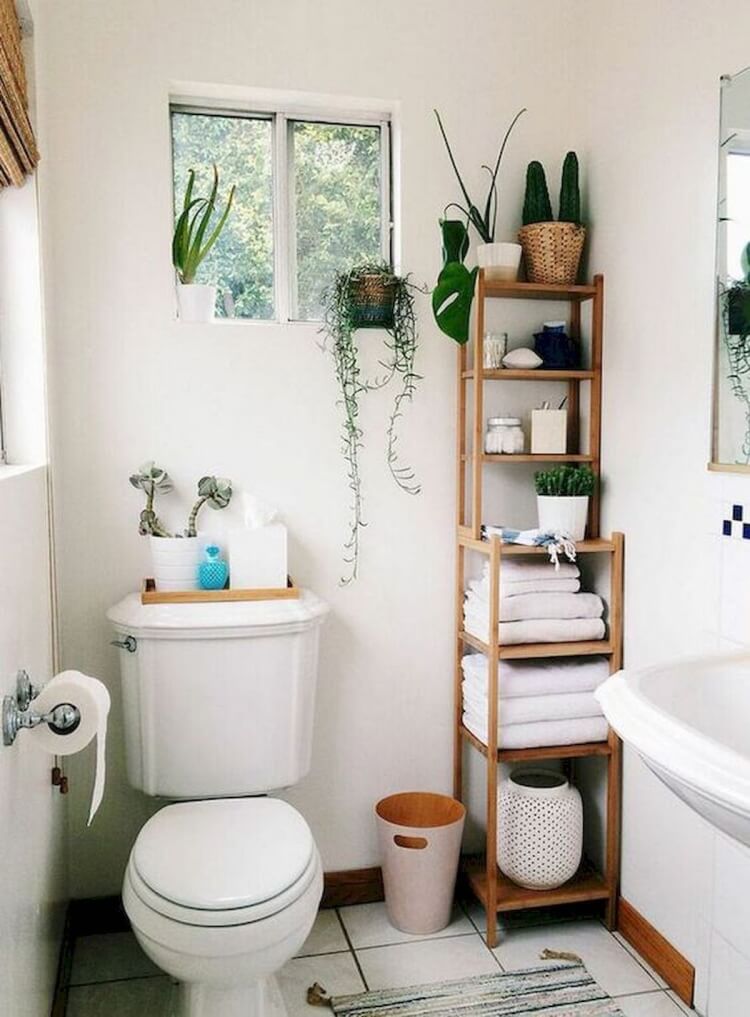 petites toilettes blanches plantes vivantes étagère bois