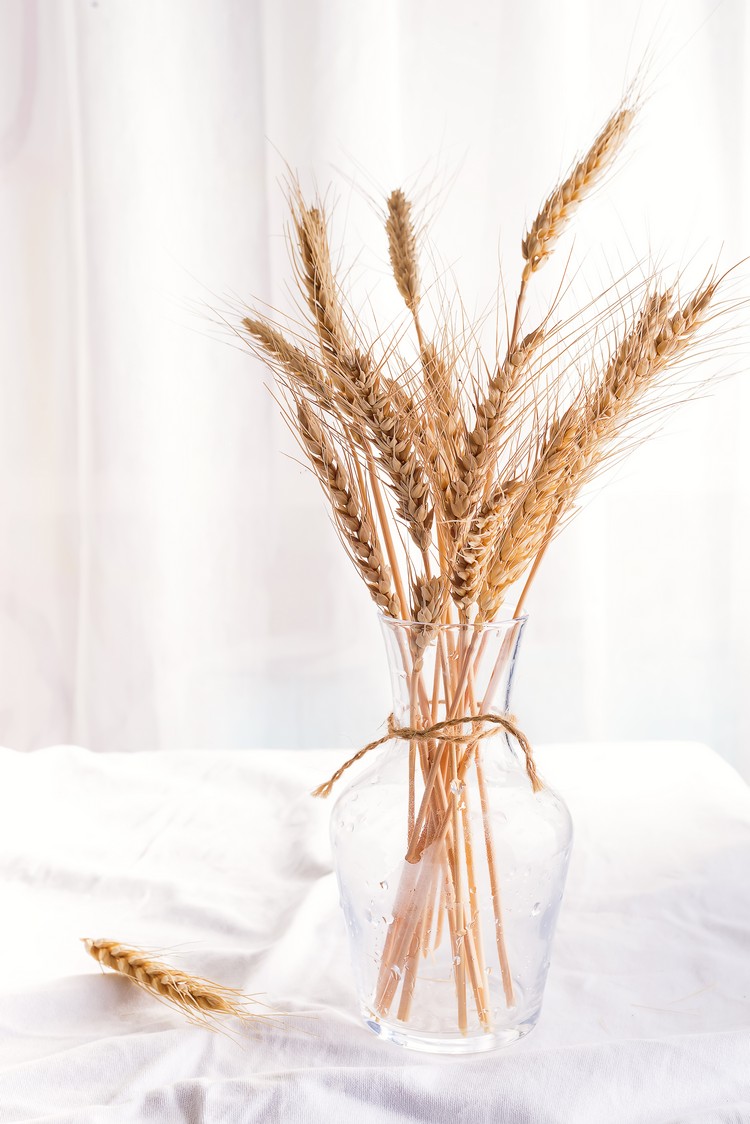 épi de blé déco maison arrangement simple minimaliste