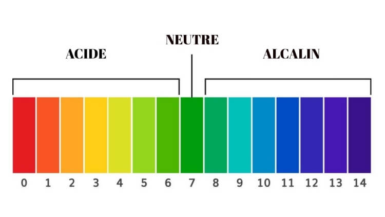 alimentation alcaline cancer pH niveaux sang