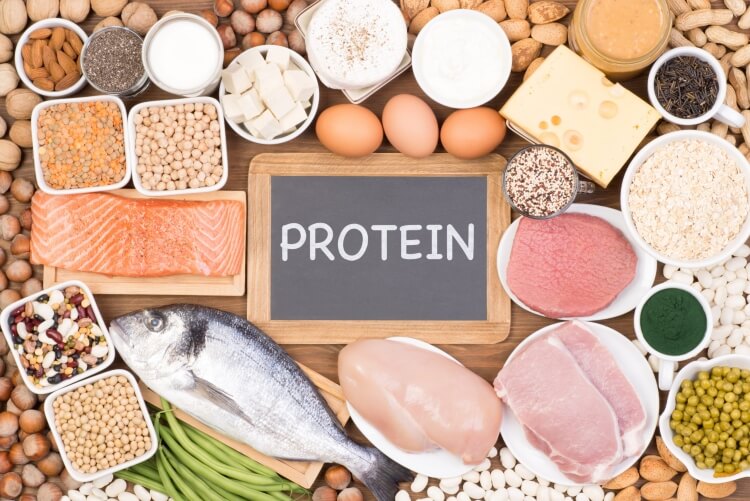 aliments riches en protéines perdre du poids