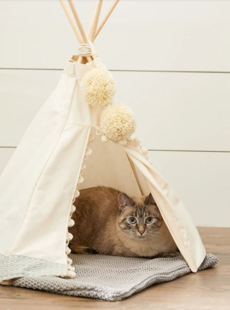 belle tente pour chat réaliser textile bâtons bois
