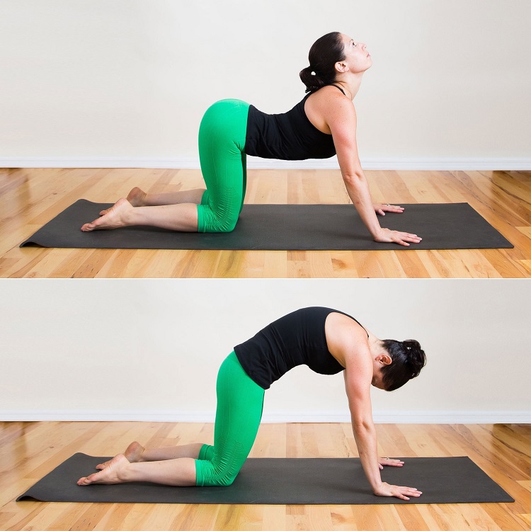 corriger sa mauvaise posture dos exercices yoga contre mal de dos et lombaire posture yoga chat