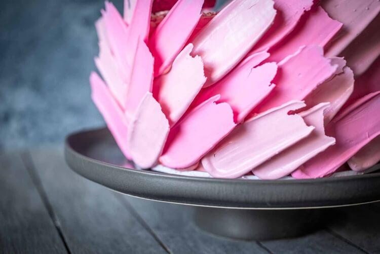décorer gâteau flamant rose plumes en bonbons candy melts fondus