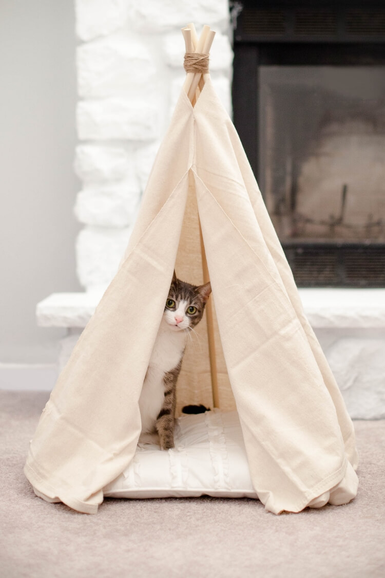 fabriquer maisonnette pour chat type tente indienne textile bâtons bois