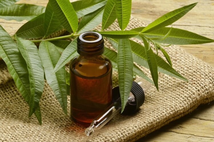 huile essentielle contre acné arbre à thé tee tree